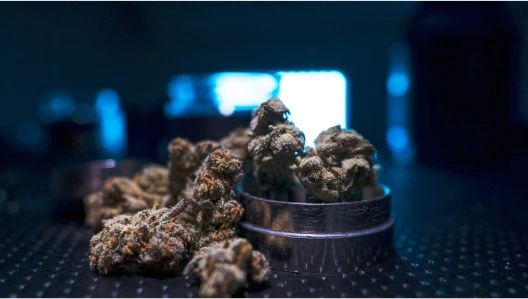 Cannabis buds flowing off the top of an open metal grinder
