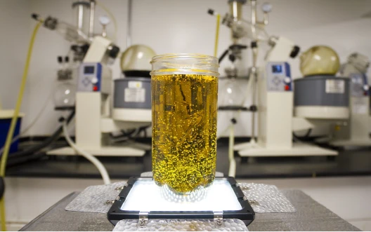 Cannabis oil sits in a jar in a lab, undergoing the process of transformation into concentrate