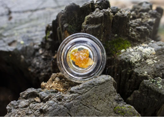 Weed wax on display in a small jar in a scenic setting