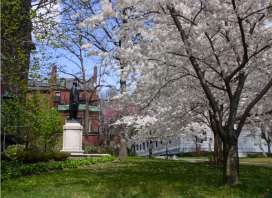 Garden in Amherst